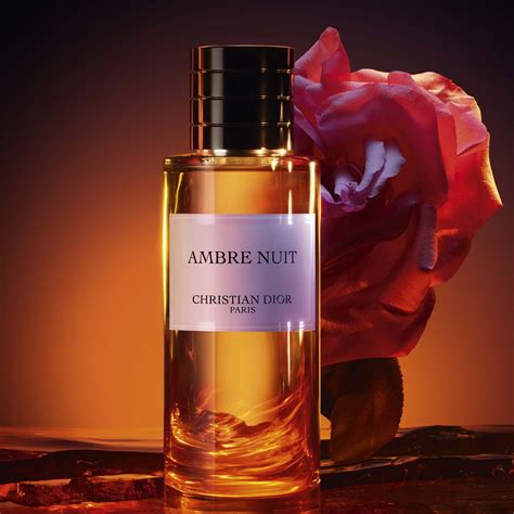 dior ambre nuit amber or ambergris|perfume dior unisex.